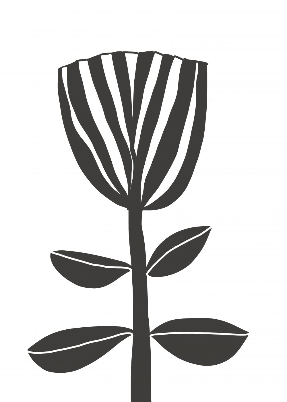TULIPE
