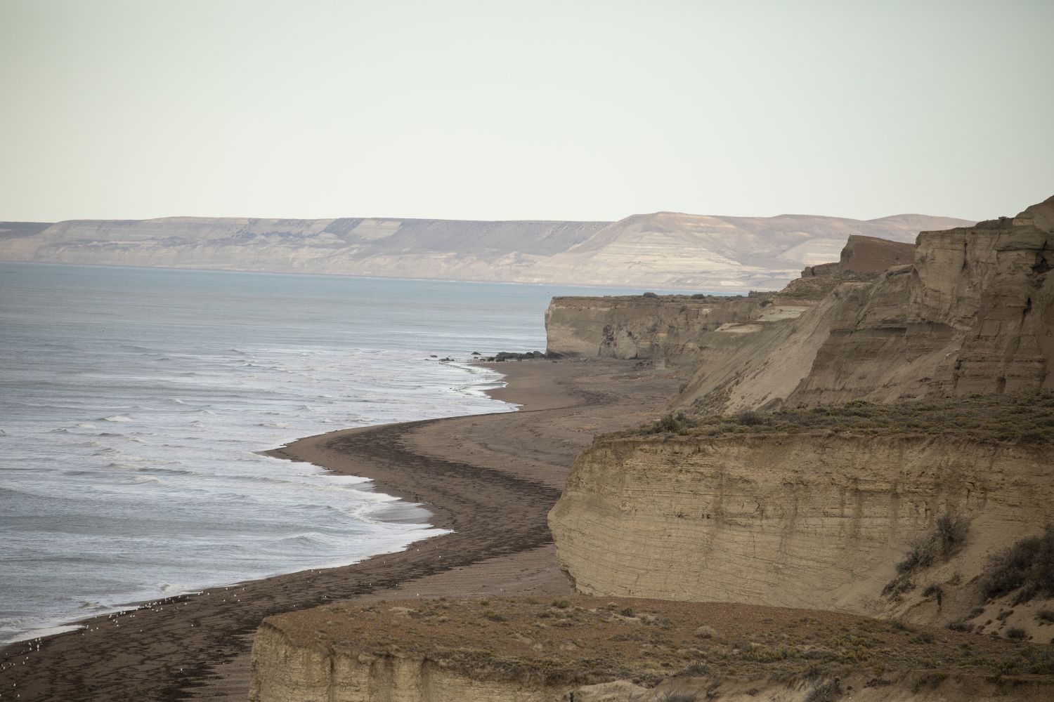 Costa Patagónica