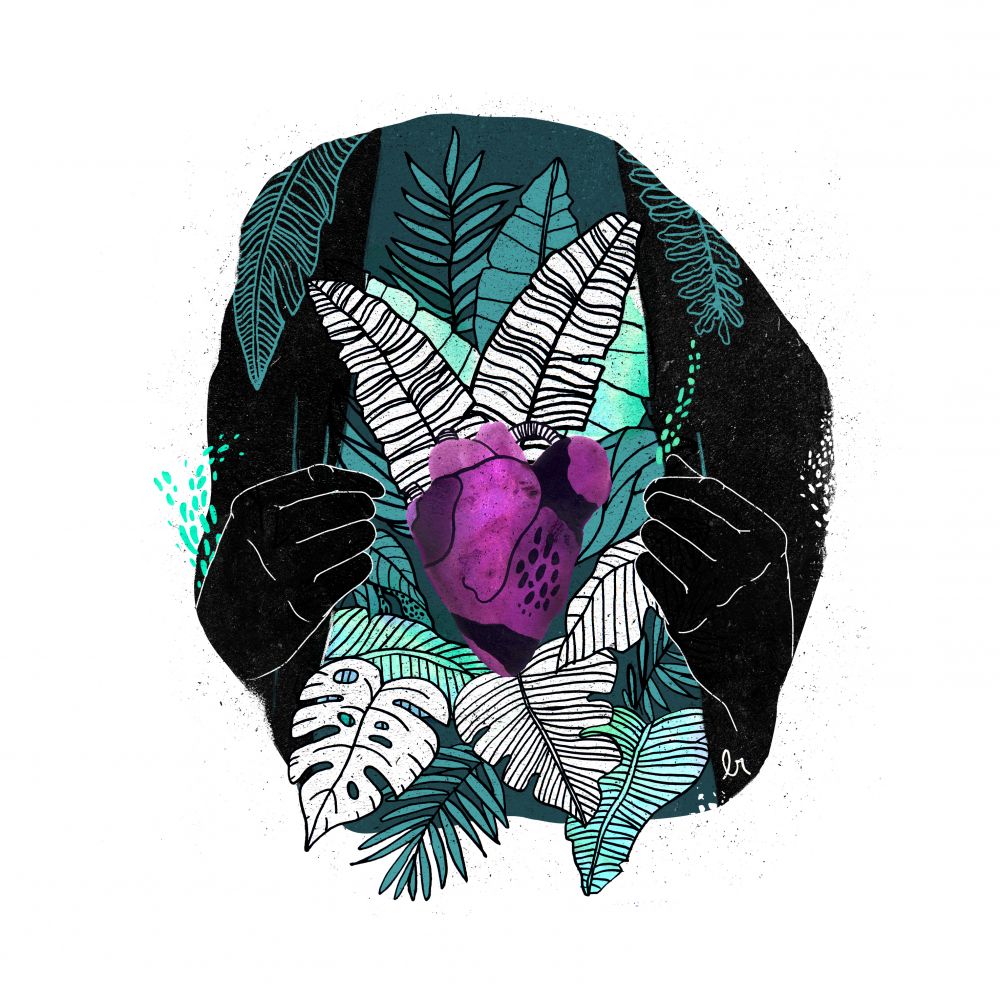 Intertropical Reversible
