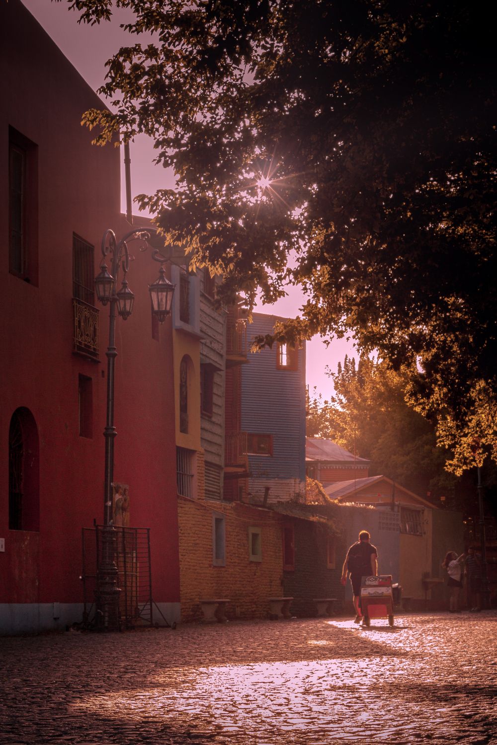 Caminito Sun