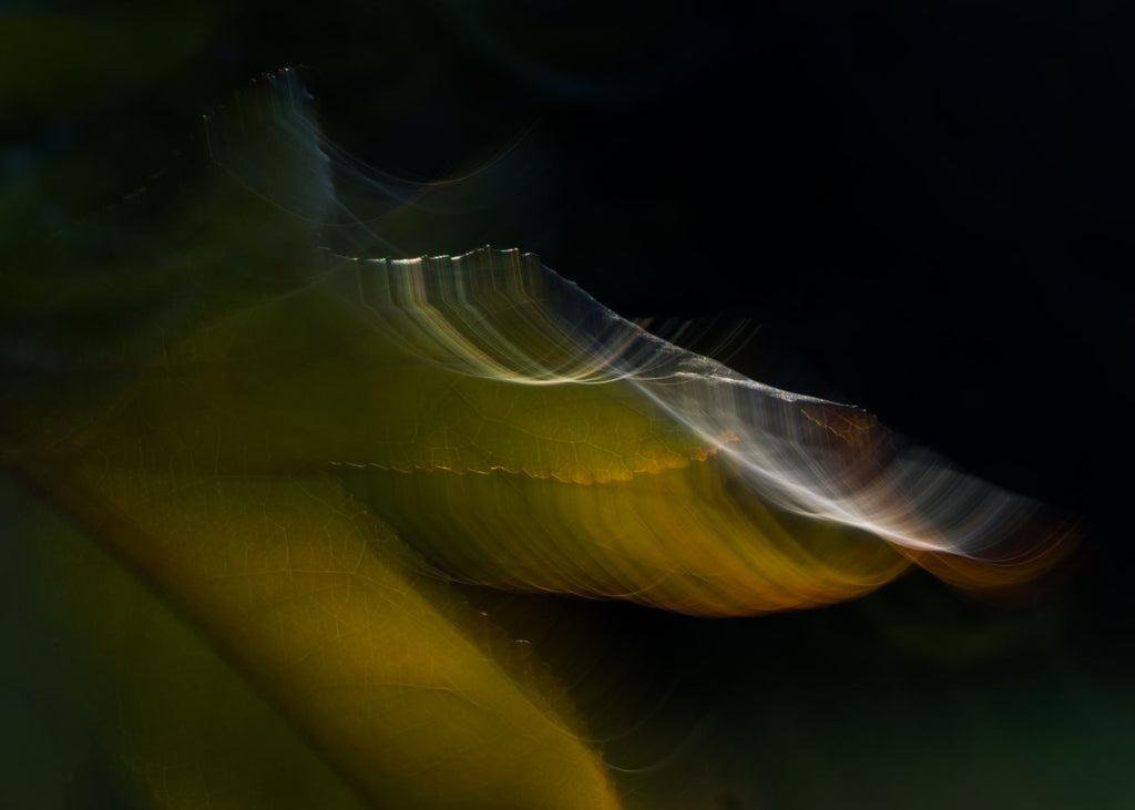 Luz&movimiento