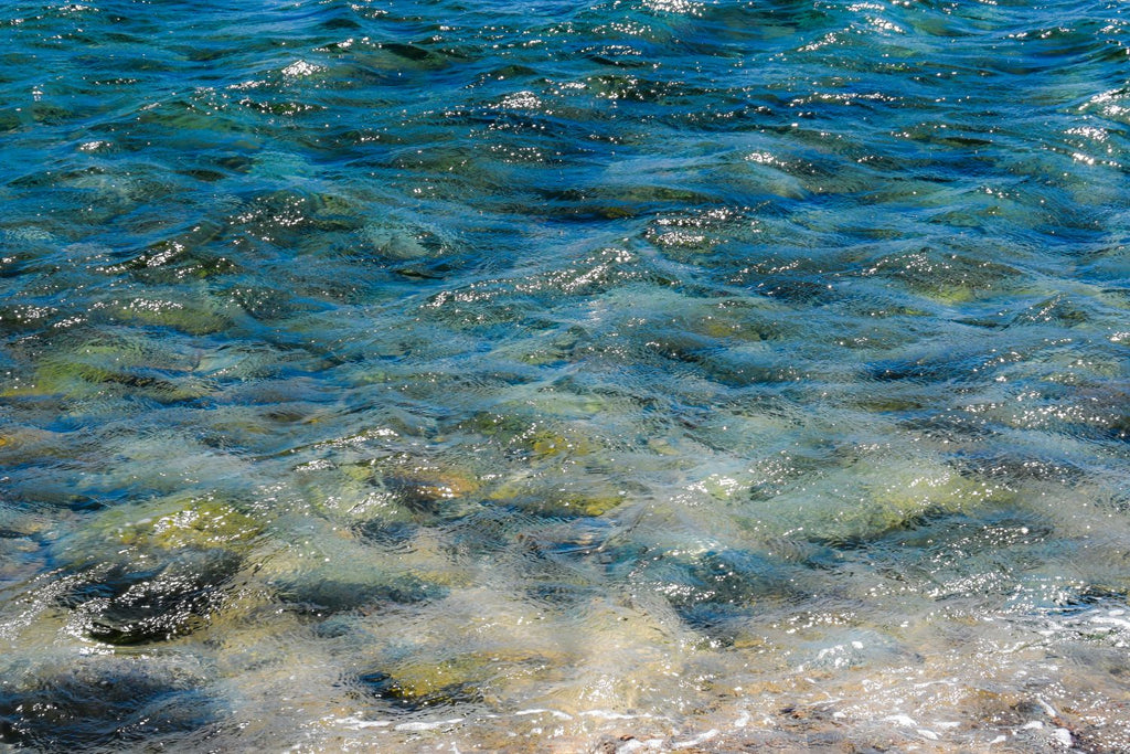 La grandeza y amor del mar