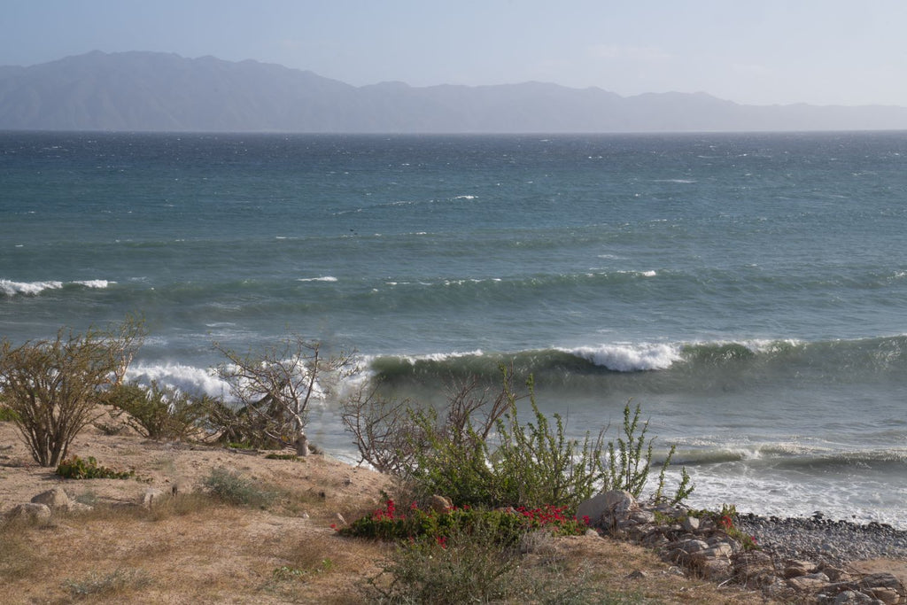 Despertar bravio del mar