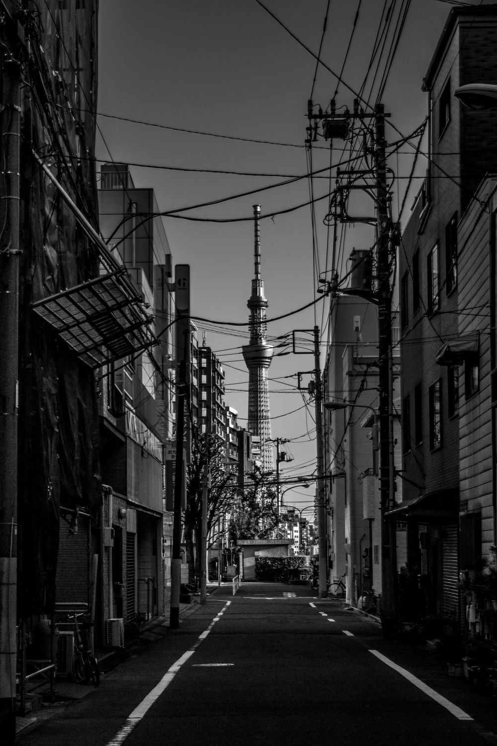Sky Tree