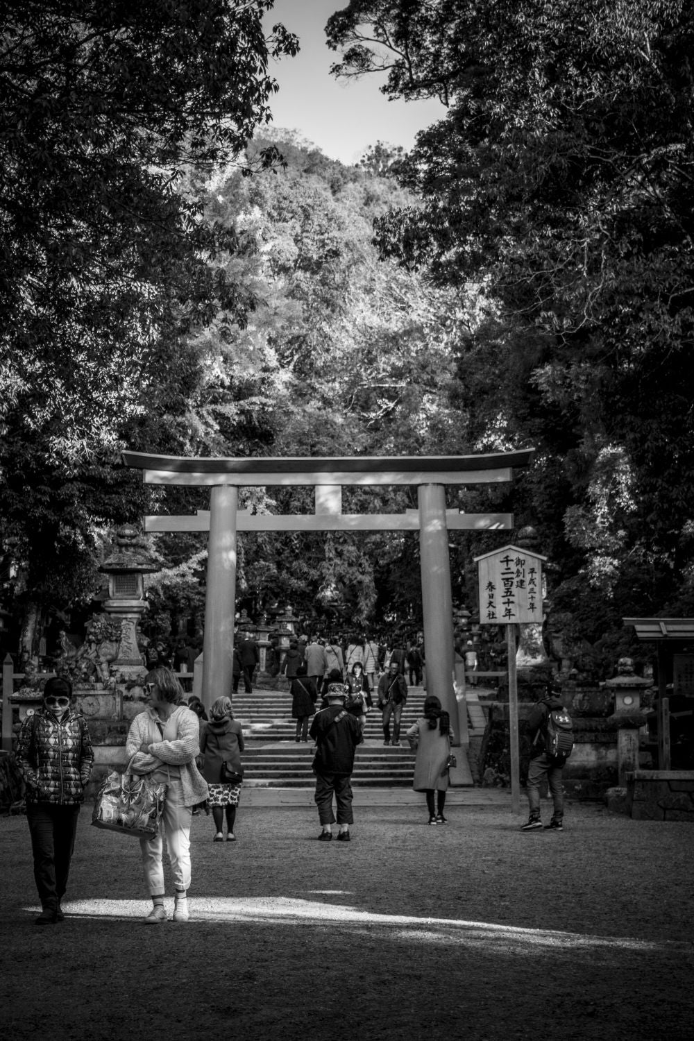 Nara torii