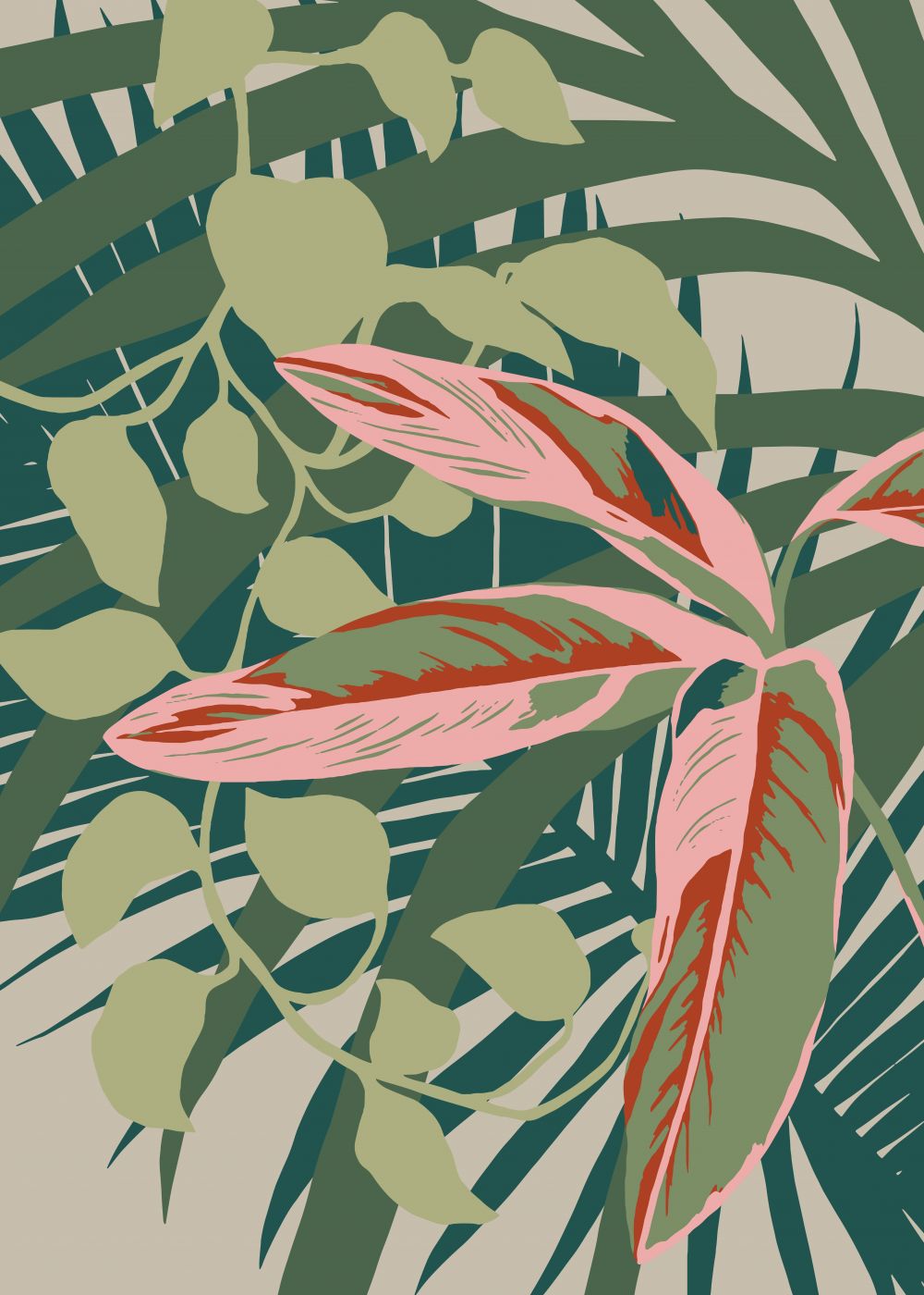 Calathea