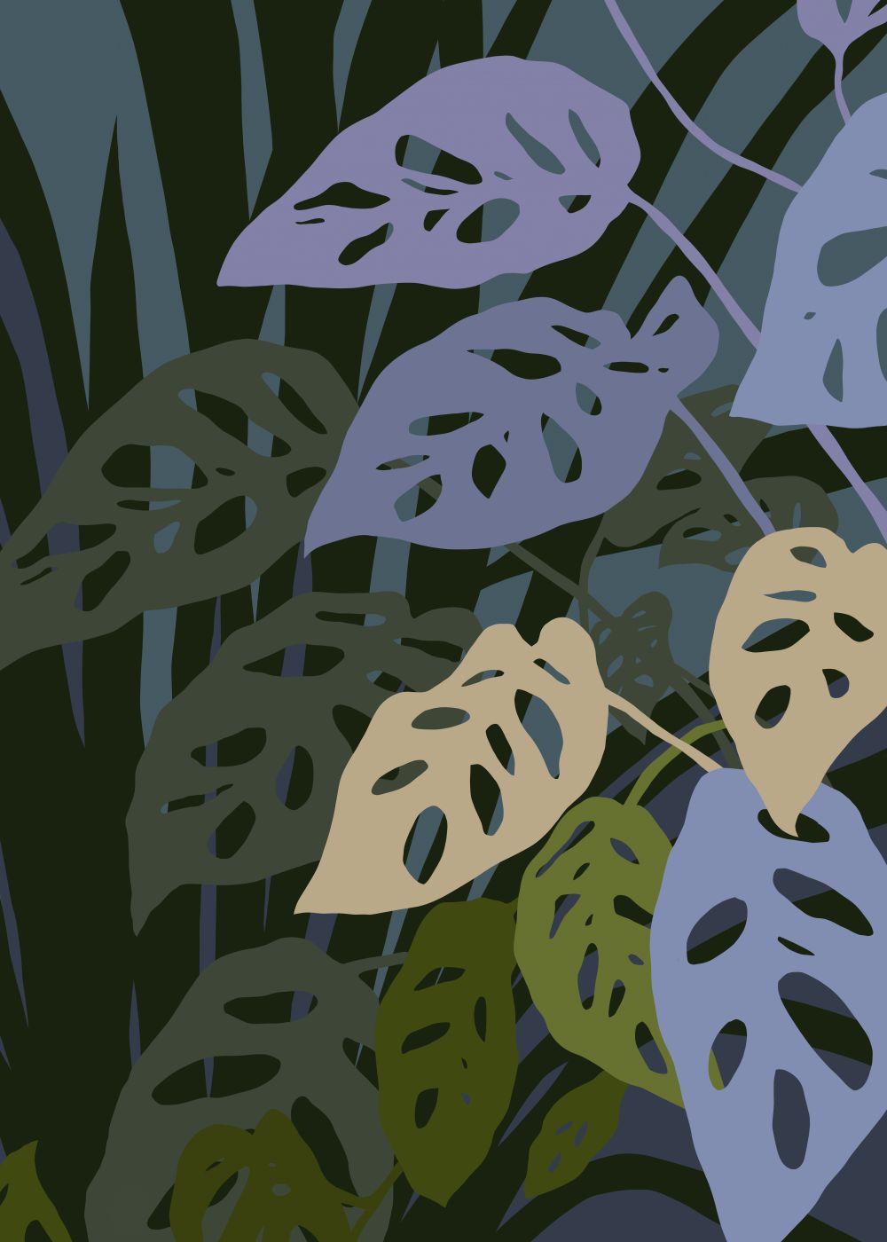 La monstera Adansonii