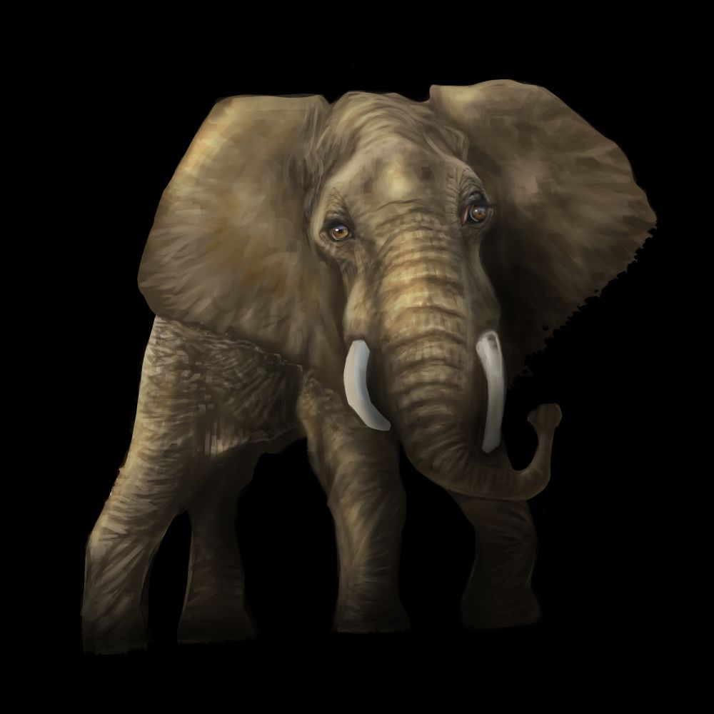 Tantor