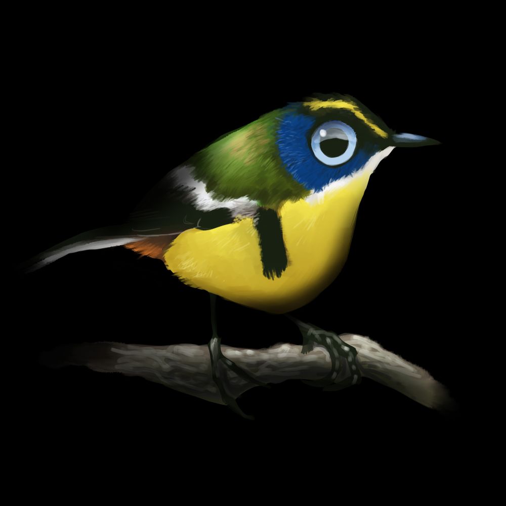 Sietecolores
