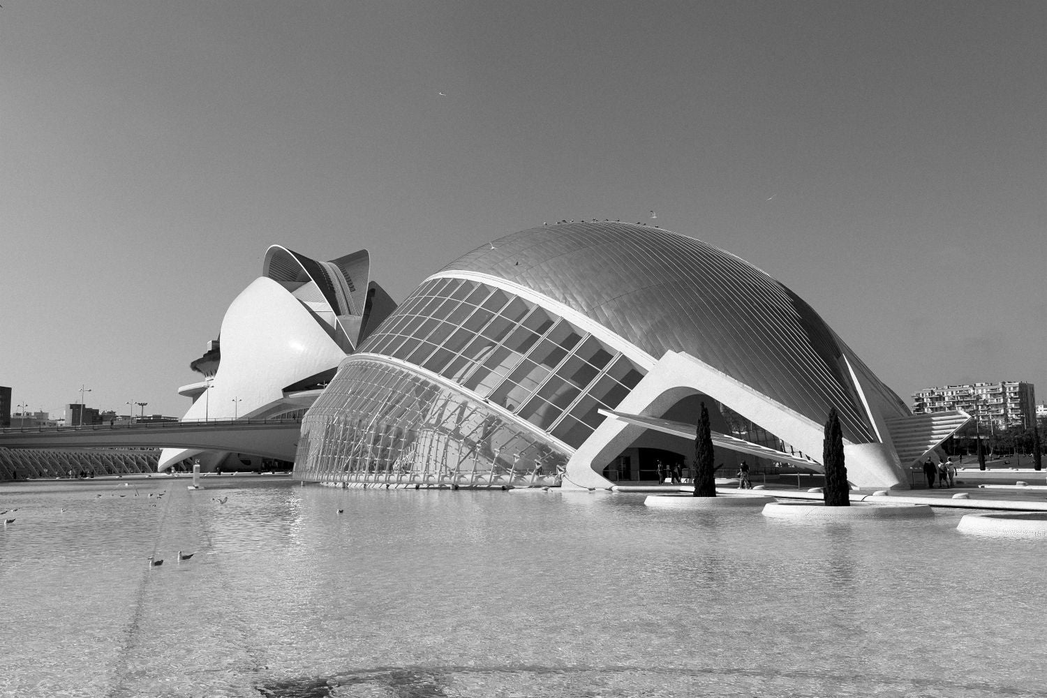Ciudad de las Artes y las Ciencias