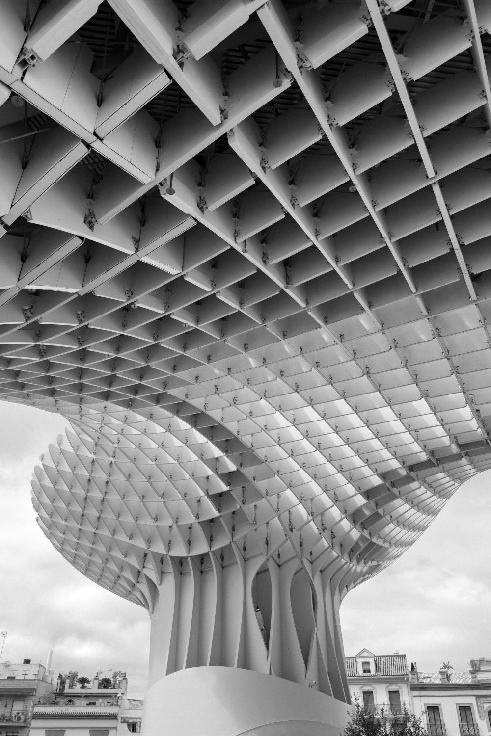 Setas de Sevilla