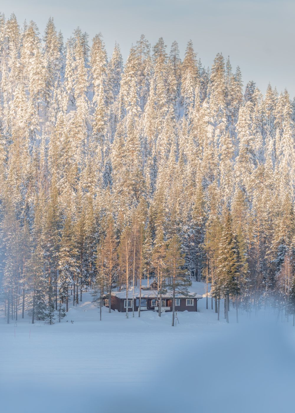 A Finnish Style