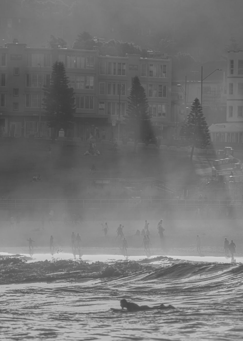 Foggy Bondi