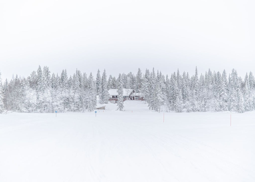 Lonely Winter