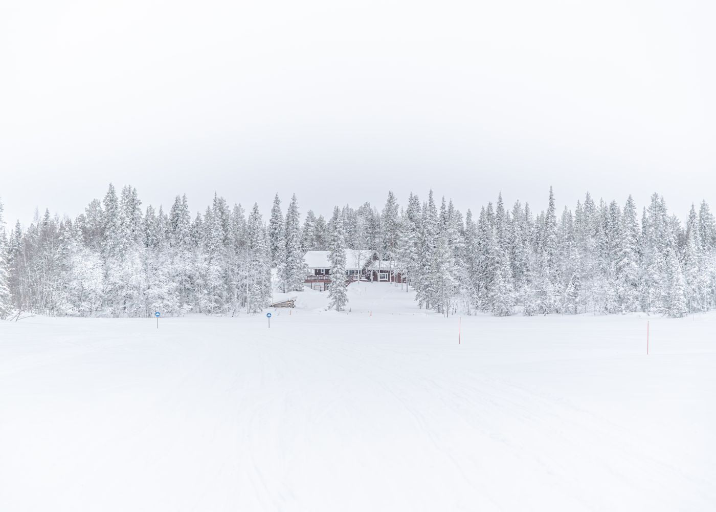 Lonely Winter