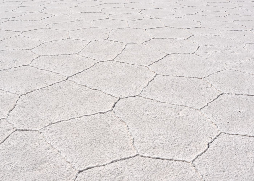 The Great Salt Flats