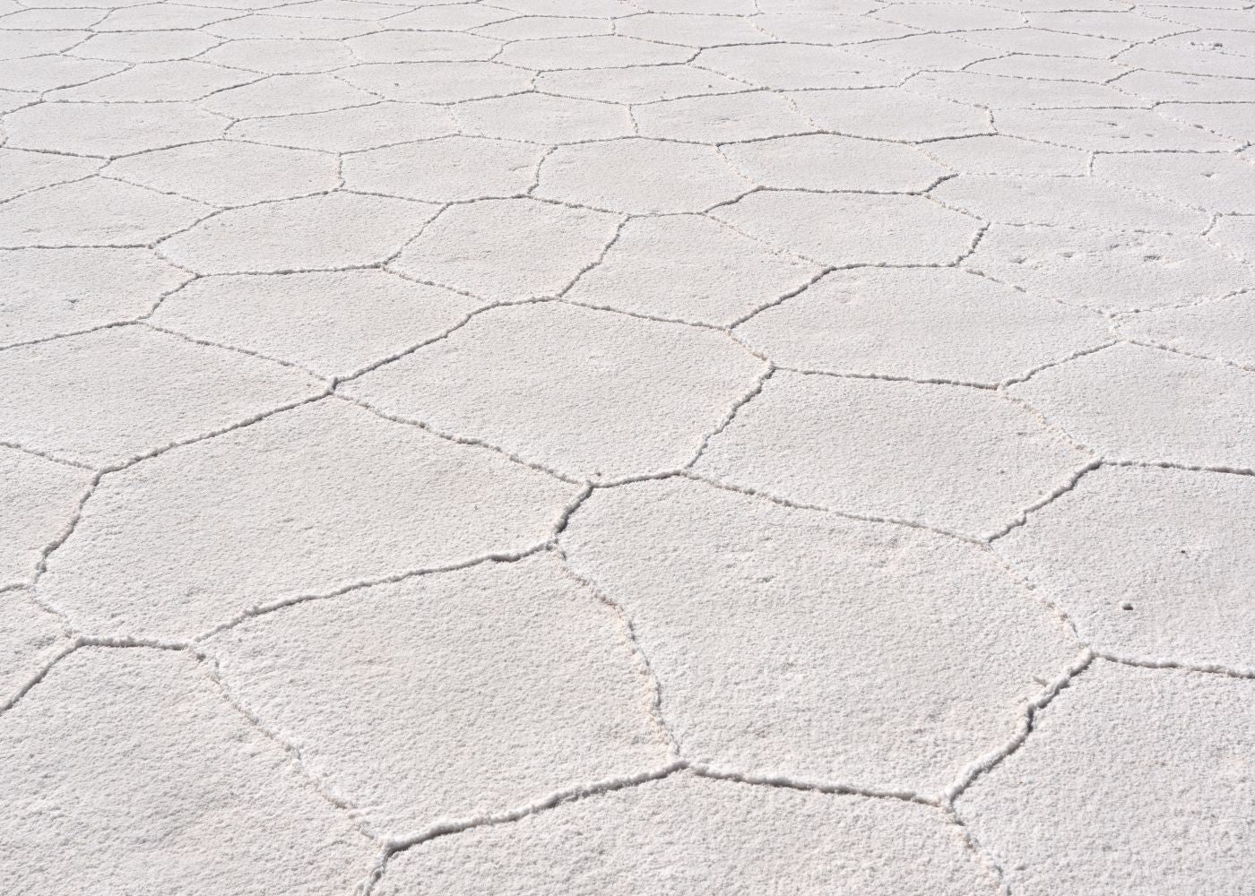 The Great Salt Flats