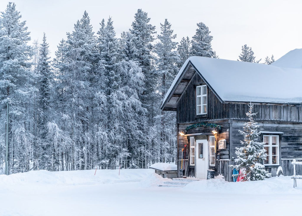 Winter cottage
