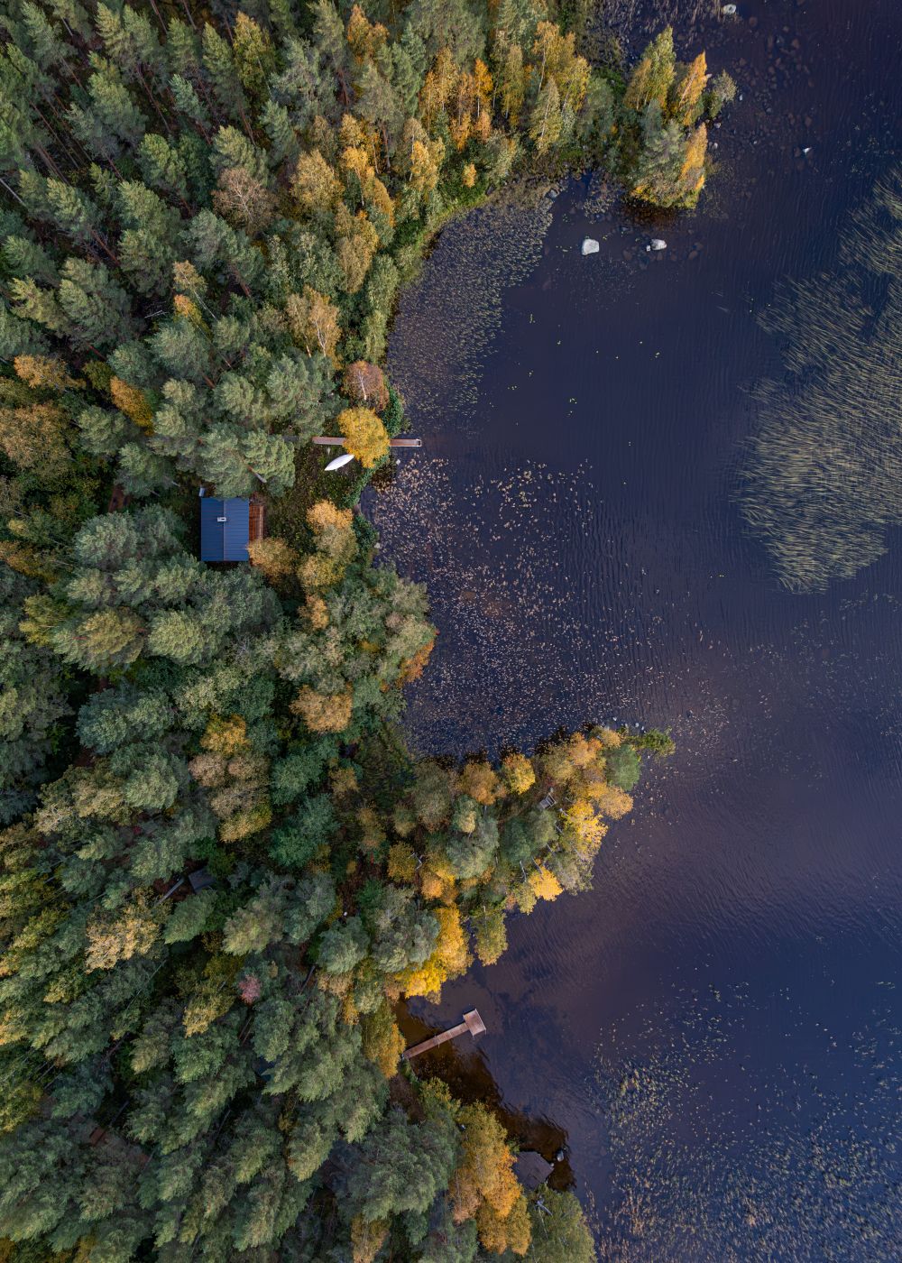 Summer Cottage