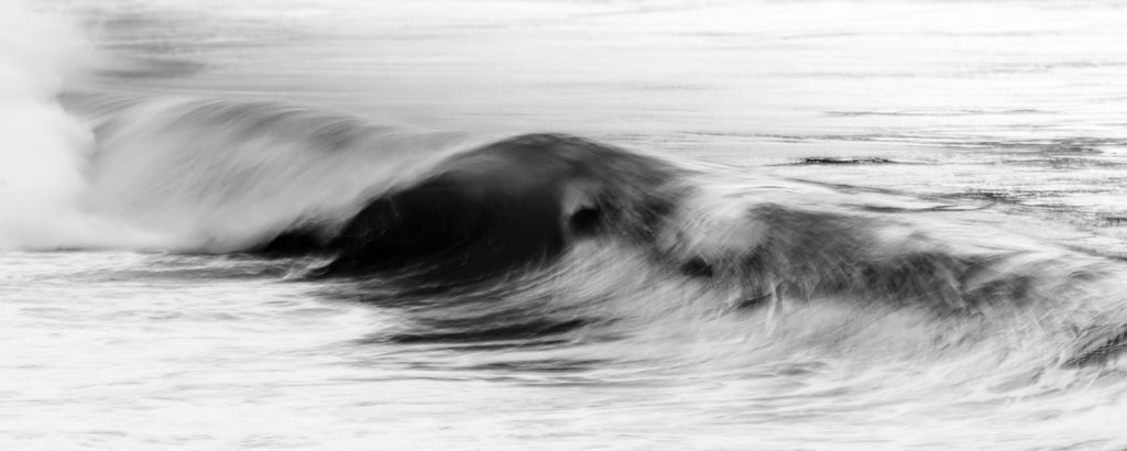 The Wave