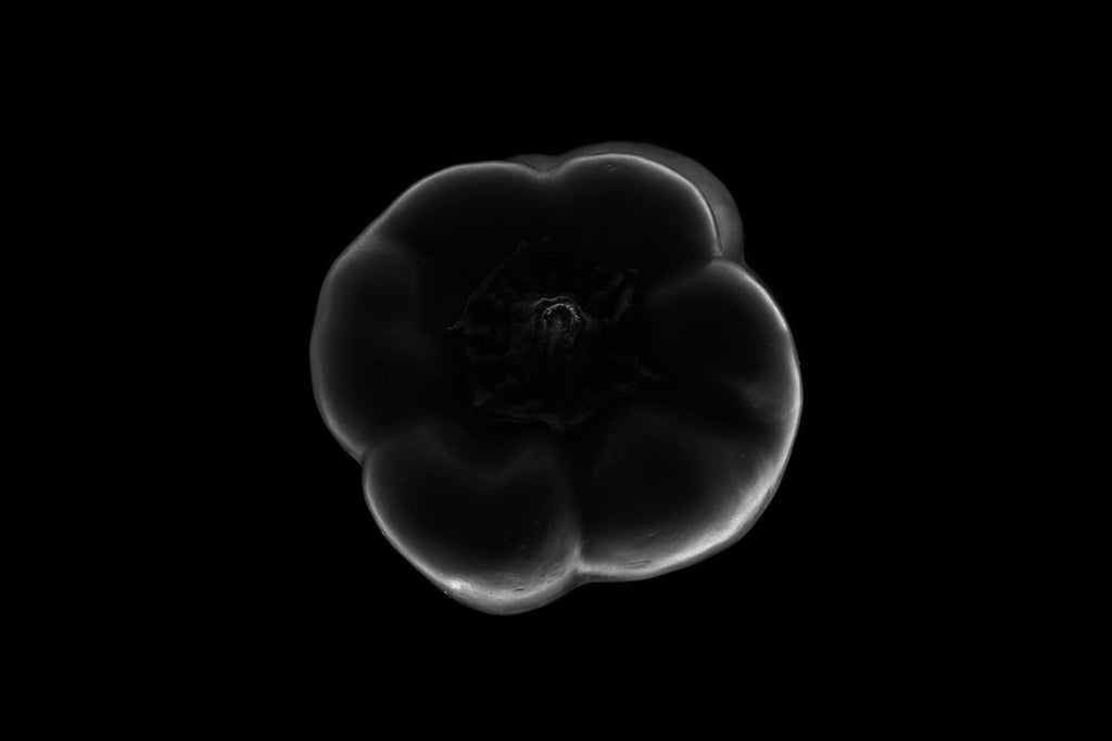 Black and white bell pepper