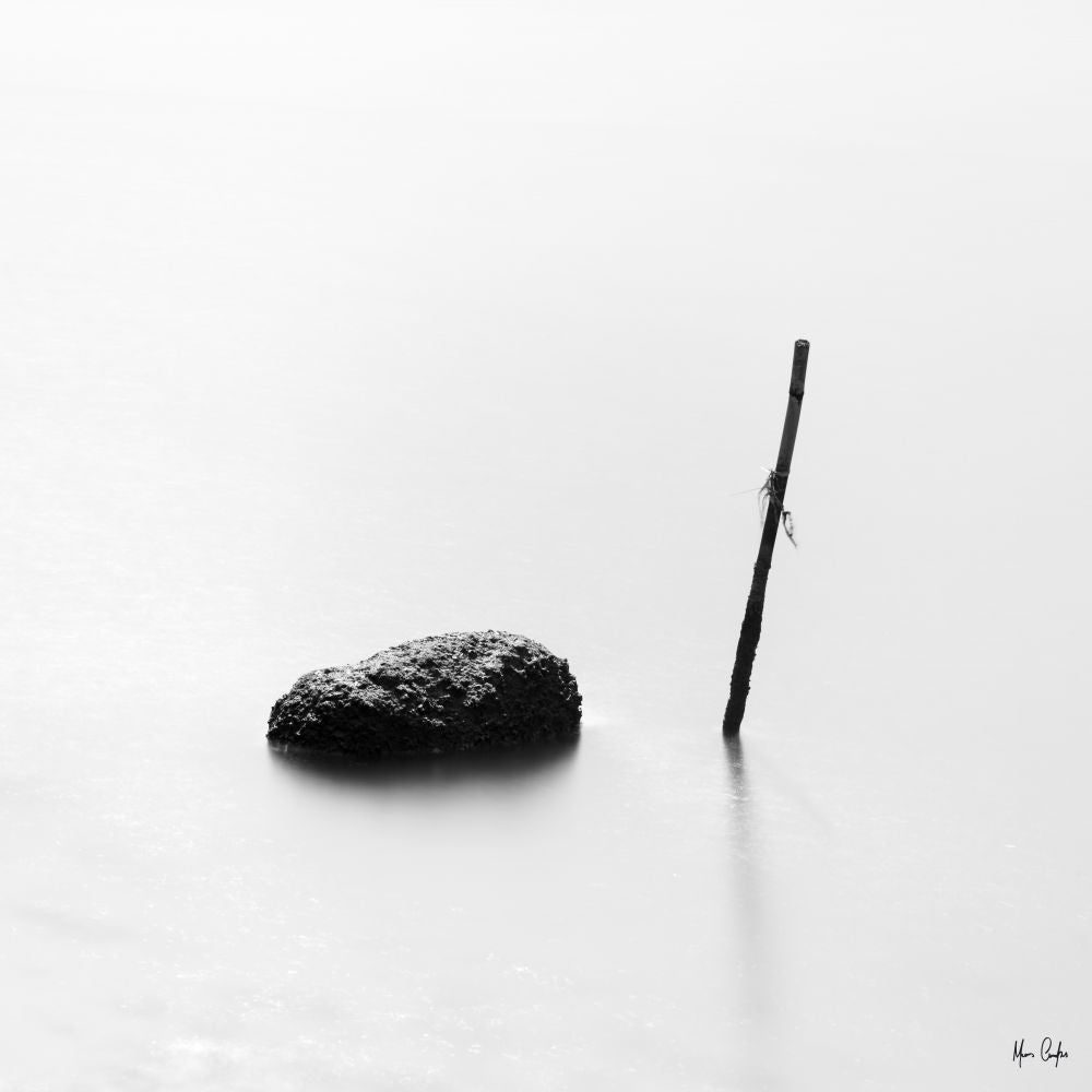 PAU E PEDRA