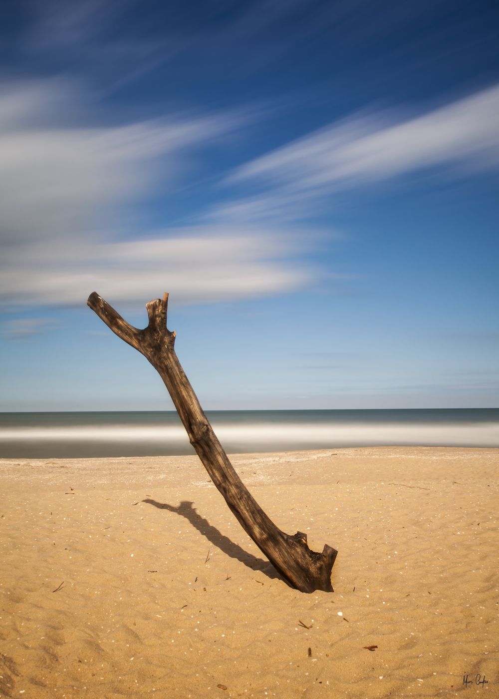 TRONCO NA AREIA