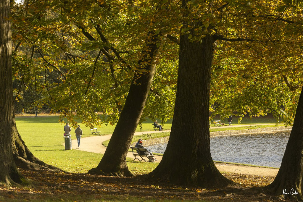 OTOÑO EN UN PARQUE BELGA