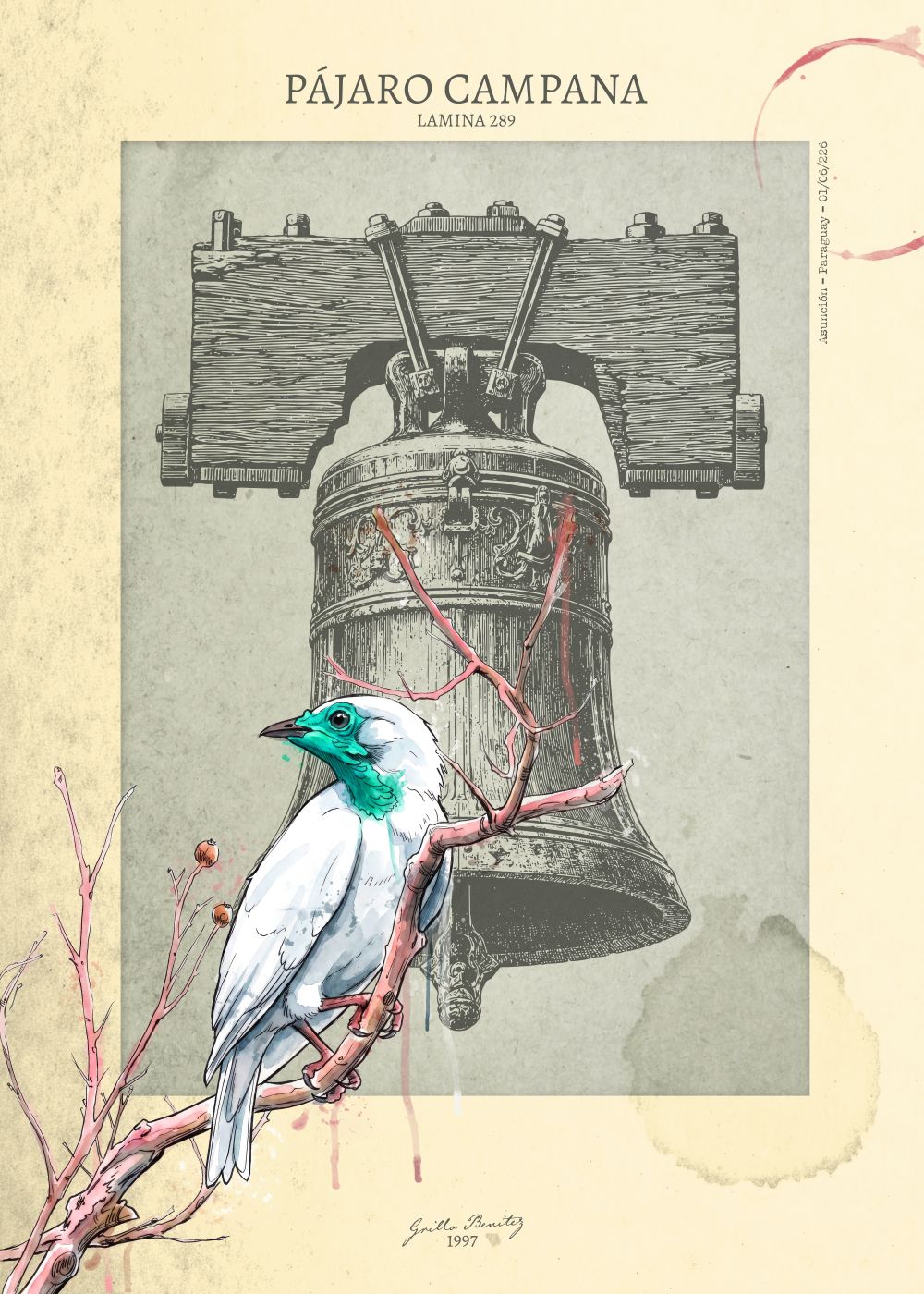 Pájaro Campana — Lámina 289