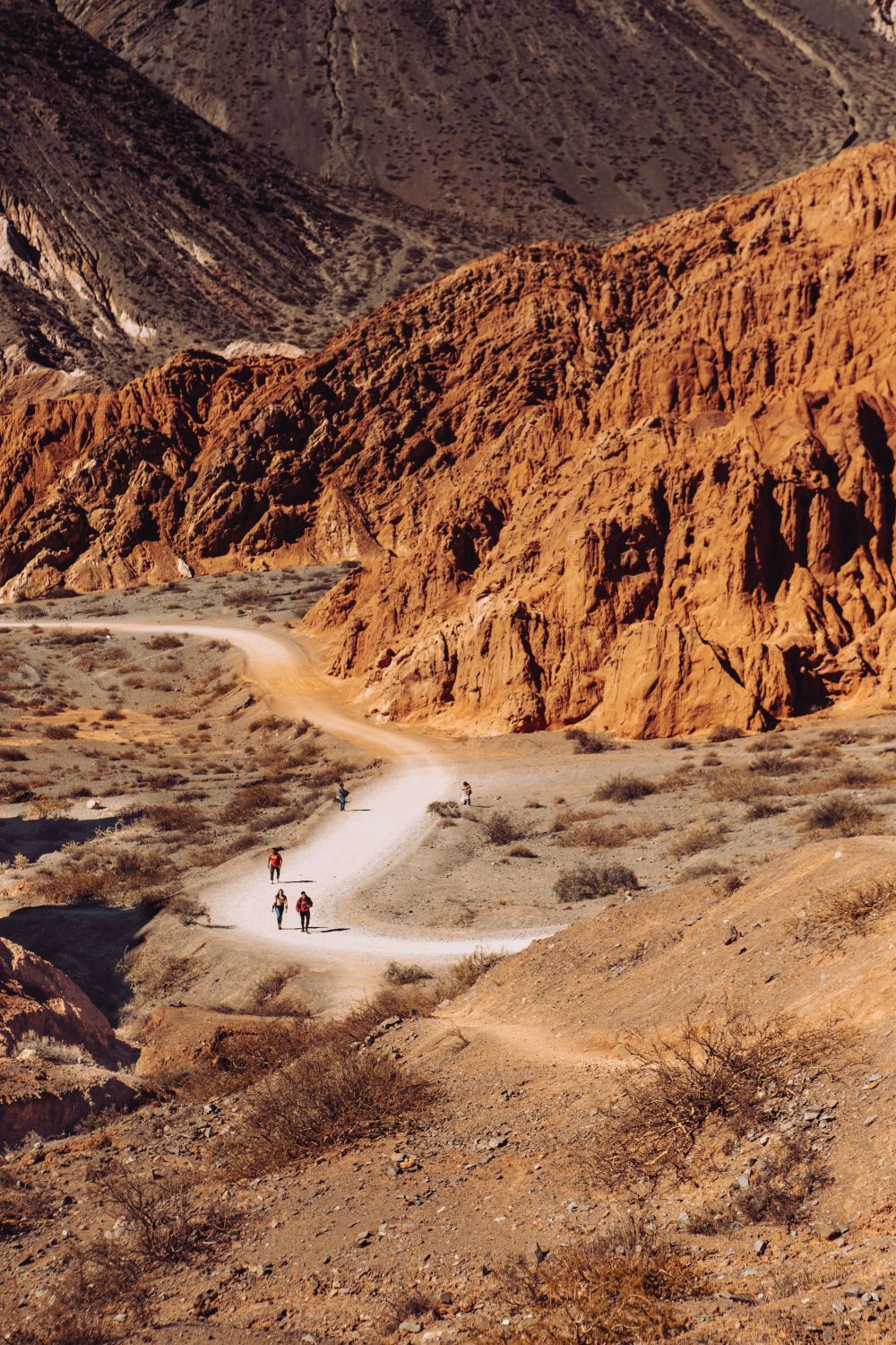 Sendero en Jujuy