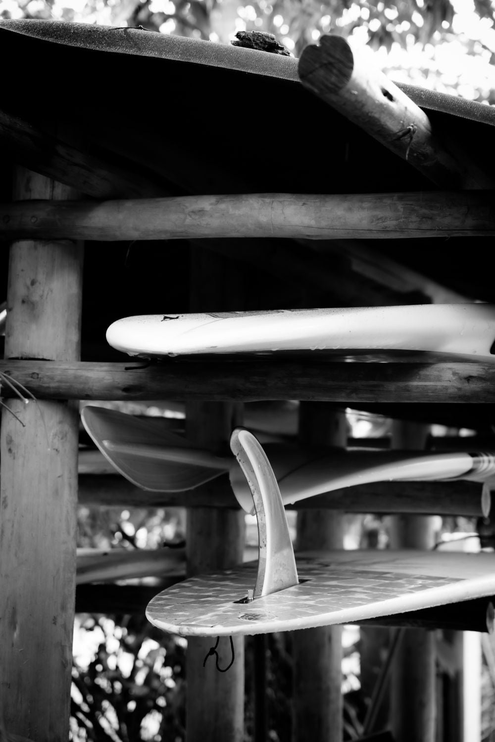 I Love Longboarding.