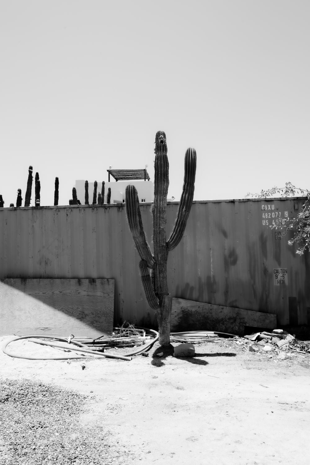 Cerritos, Baja California Sur, México